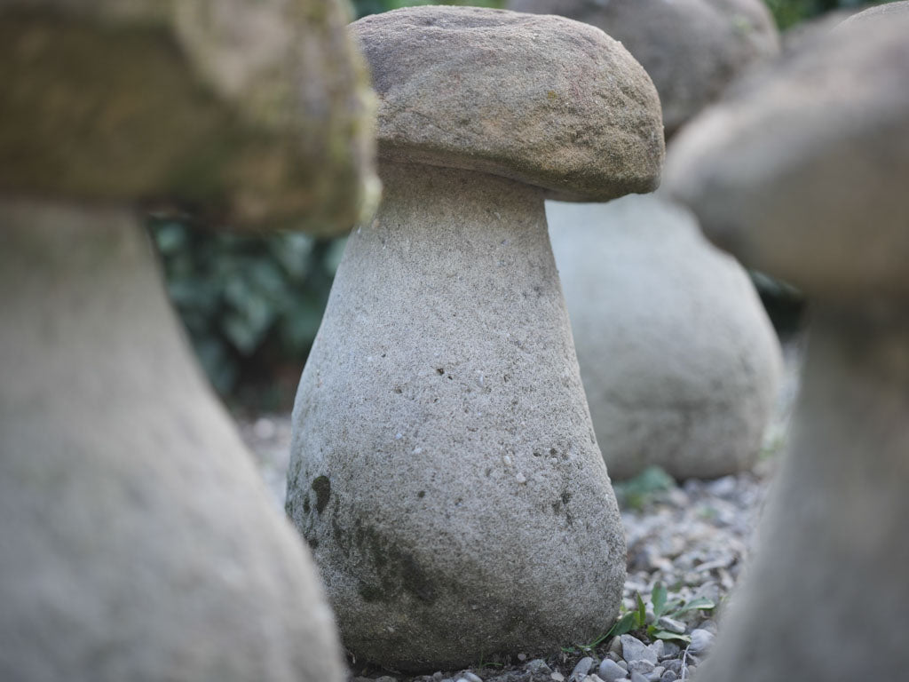 Classic, vintage garden mushroom collection