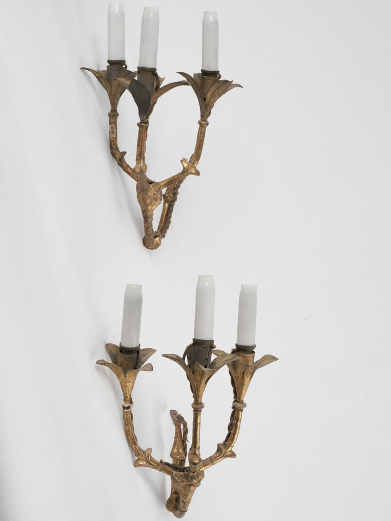 Gilded Austrian sconces