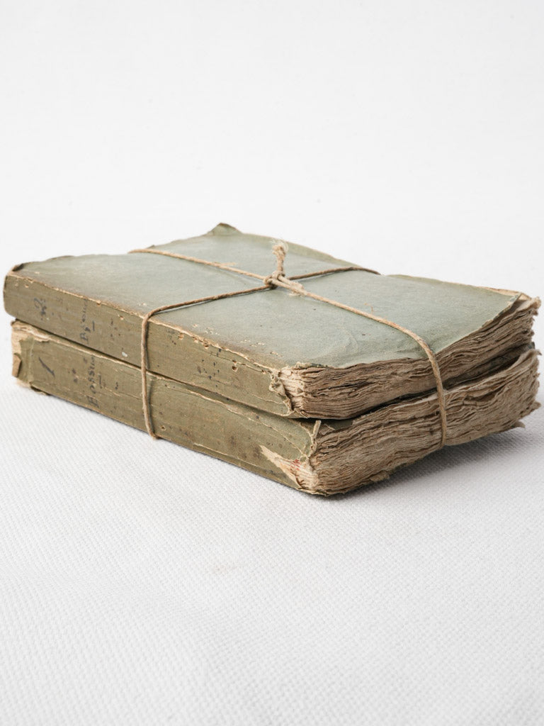 Deckled-edge antique French novels