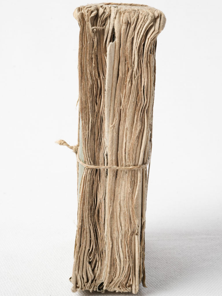 Beautifully aged vintage book duo