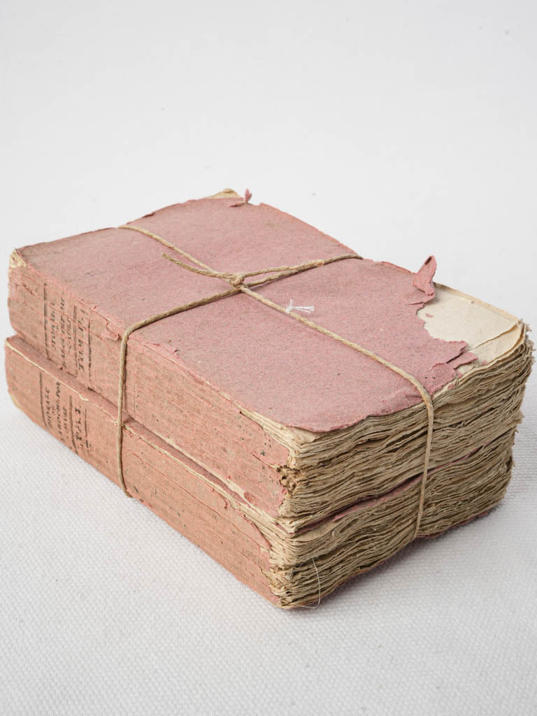 Vintage deckled-edge French books