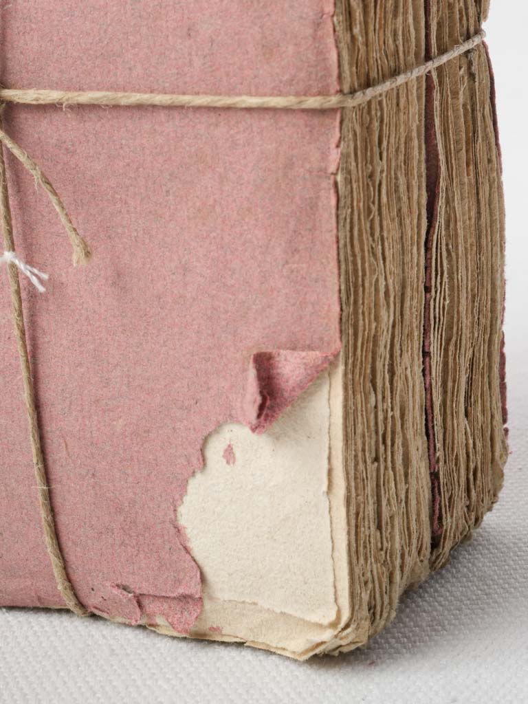 Elegant aged decorative French books