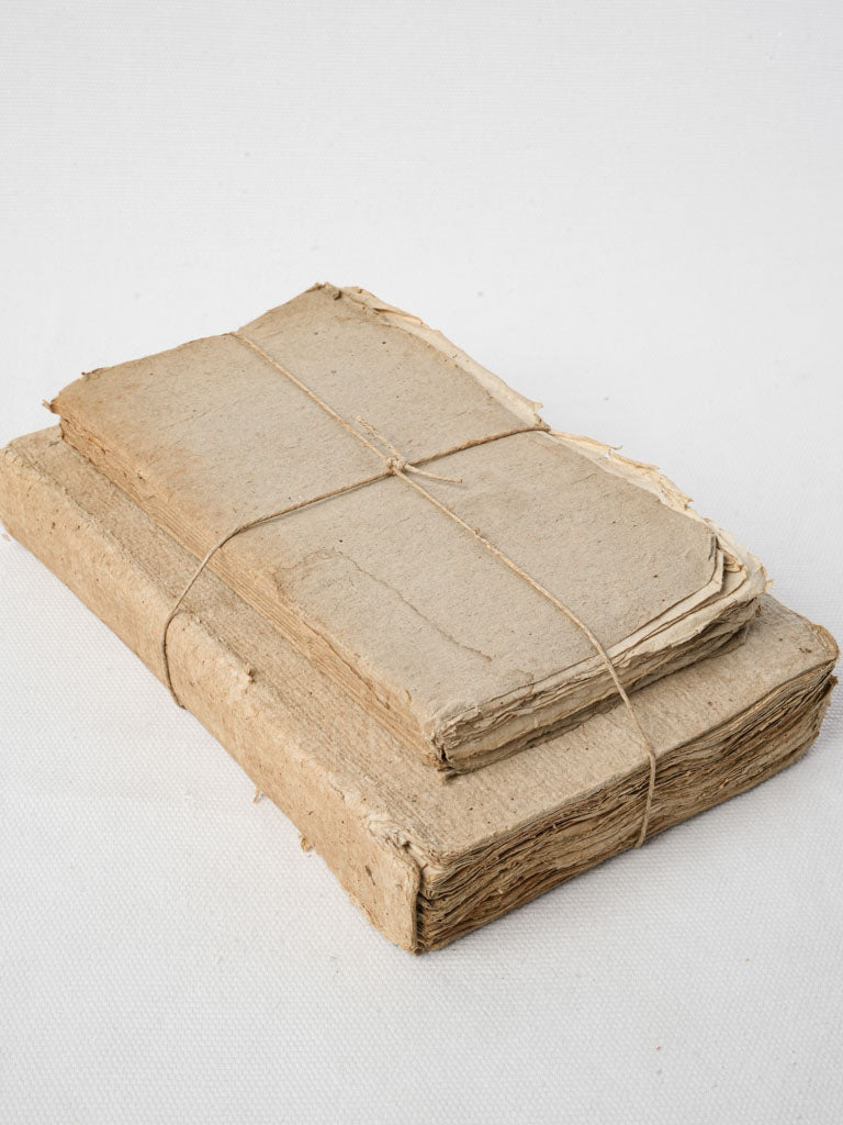 Antique beige French paperback books