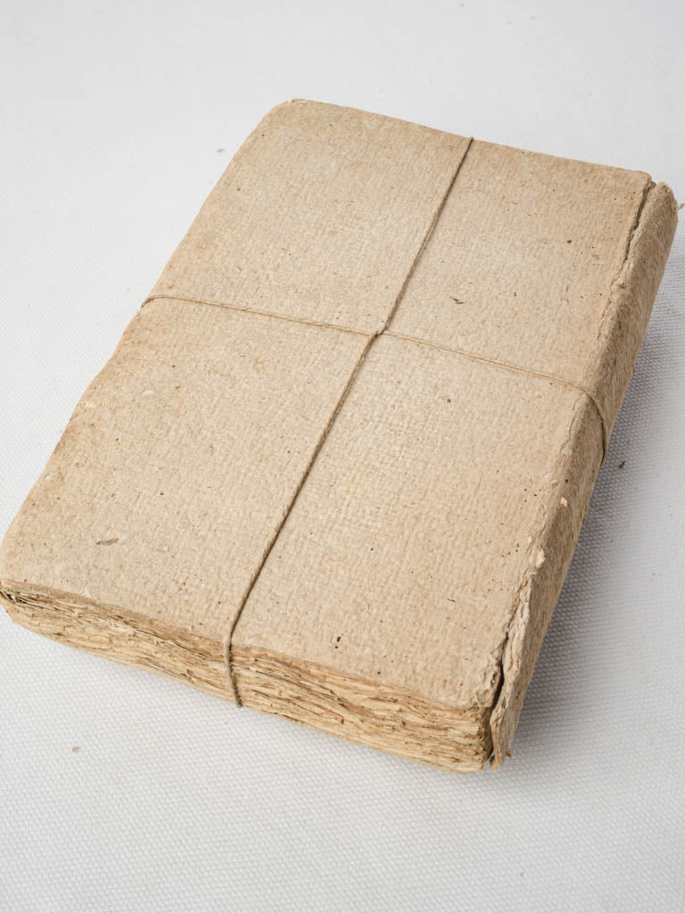 Understated antique French book pair