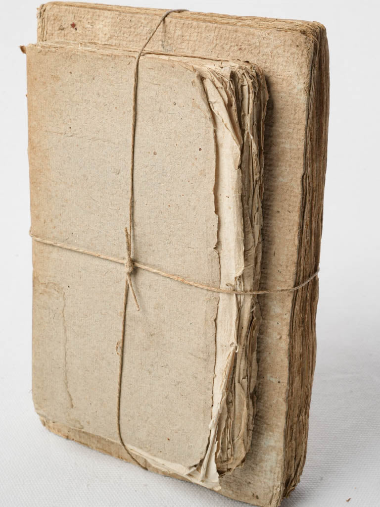 Worn vintage beige book pair