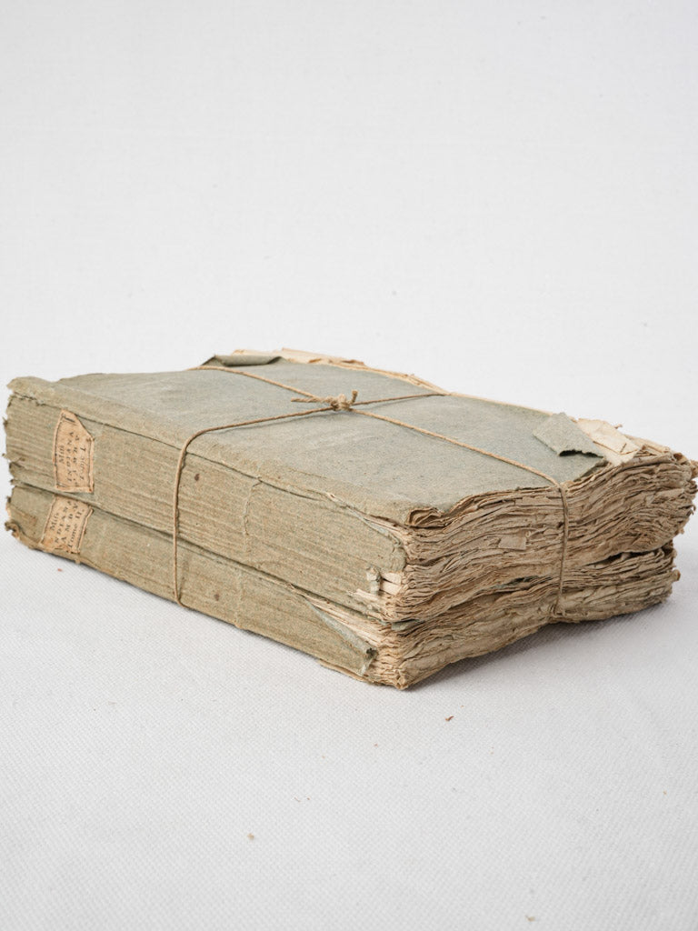 Deckled-edge decorative paperback pair