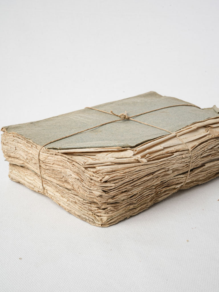 Powdery blue antique paperback set  