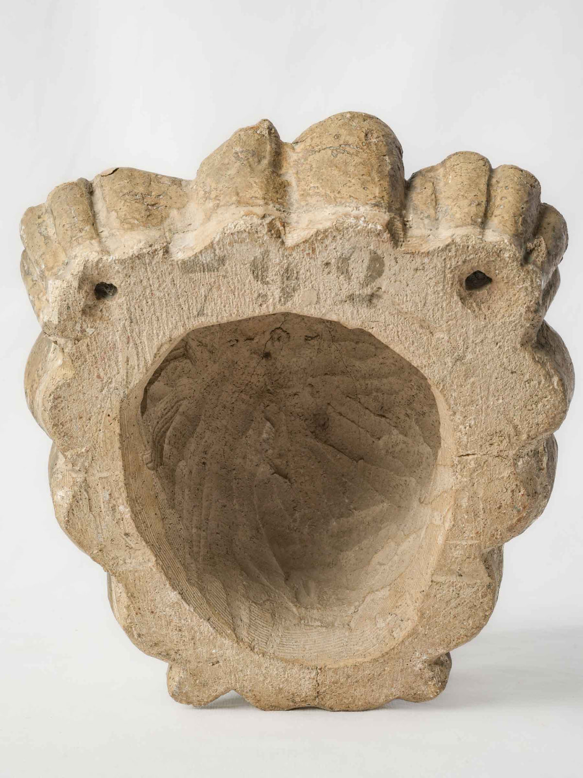 Textured historical lion-head wall decor