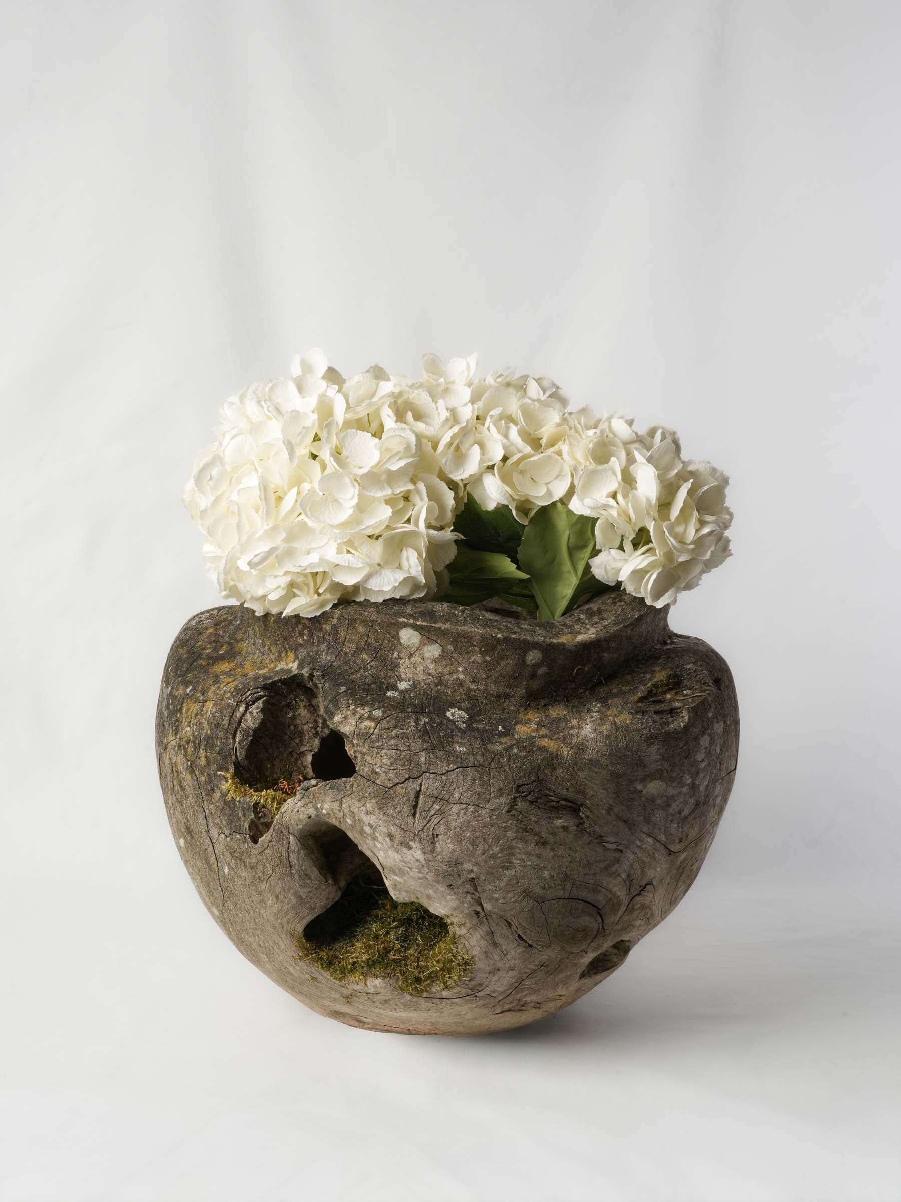 Sculptural Driftwood Vessel w/ Moss Patina - 18"