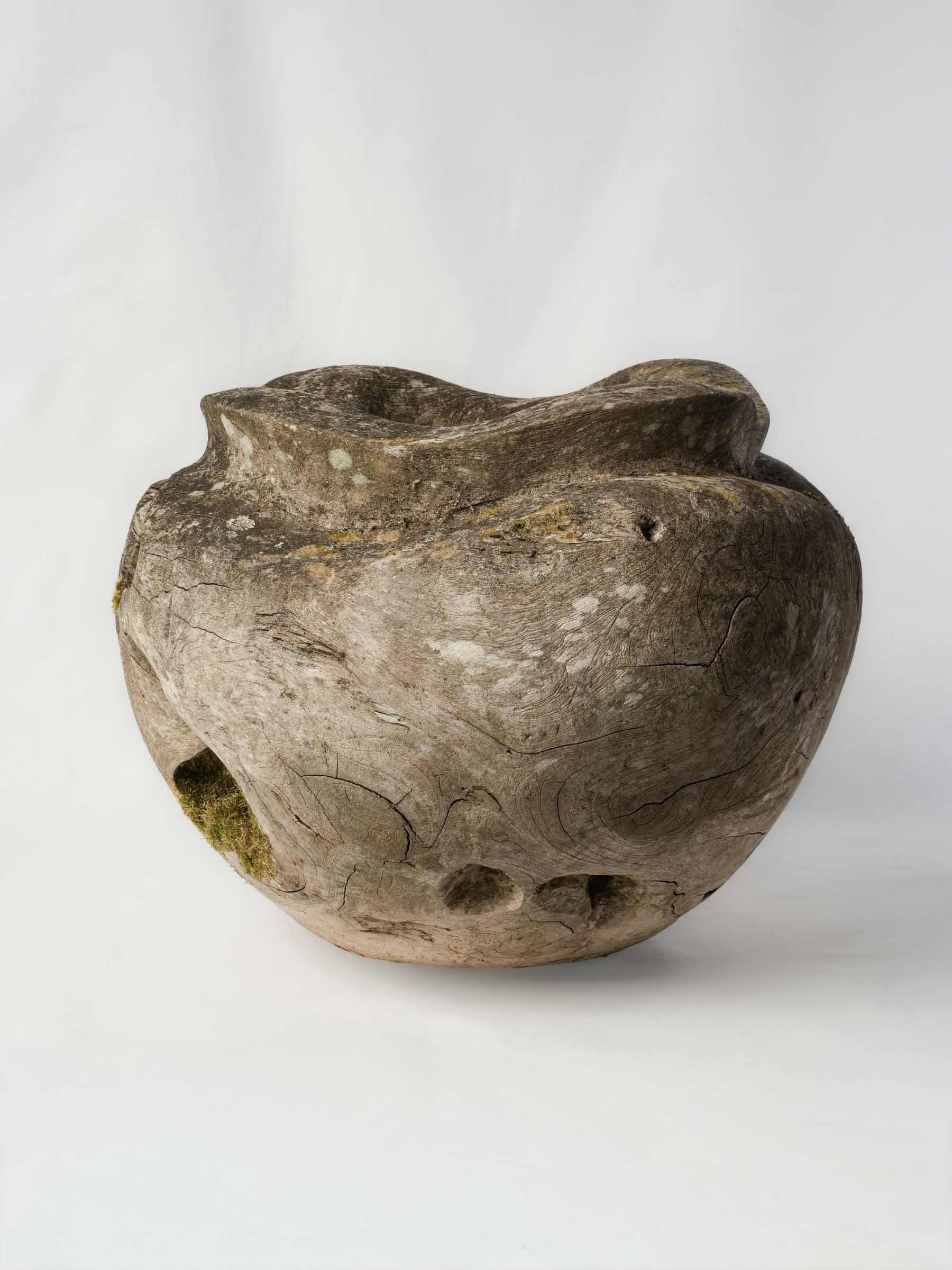 Sculptural Driftwood Vessel w/ Moss Patina - 18"