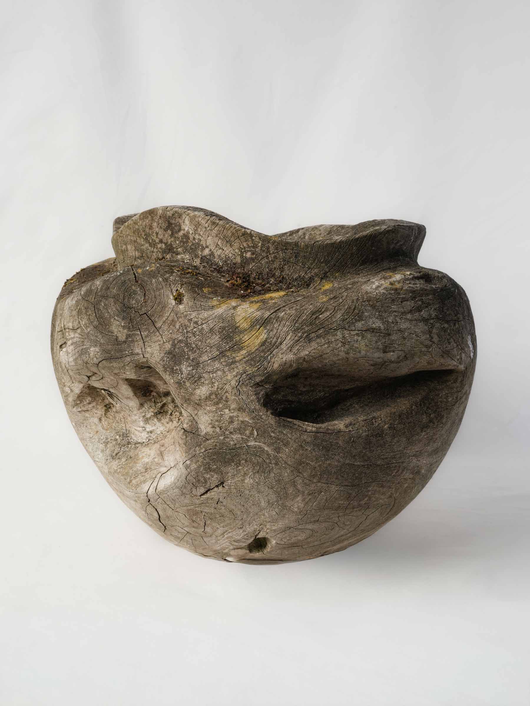 Sculptural Driftwood Vessel w/ Moss Patina - 18"