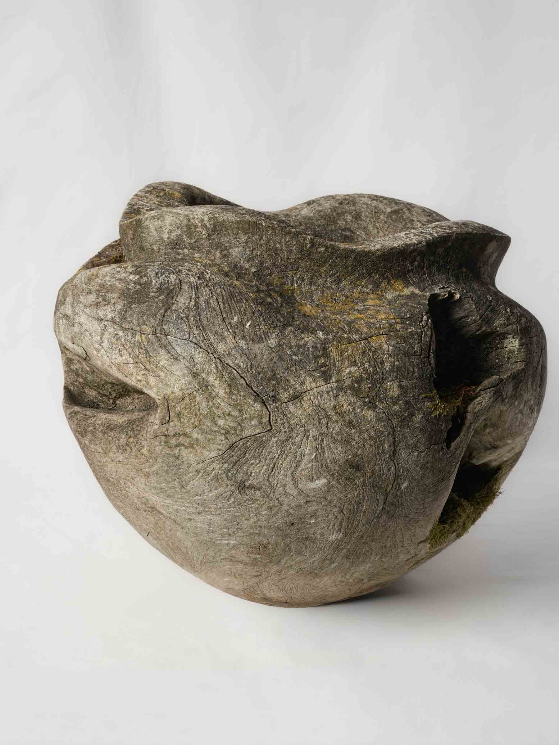 Sculptural Driftwood Vessel w/ Moss Patina - 18"