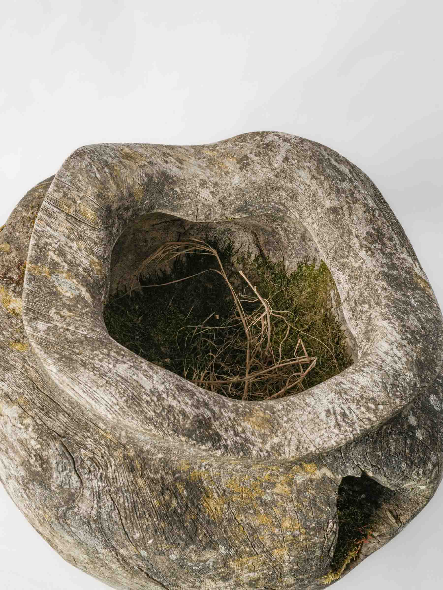 Sculptural Driftwood Vessel w/ Moss Patina - 18"