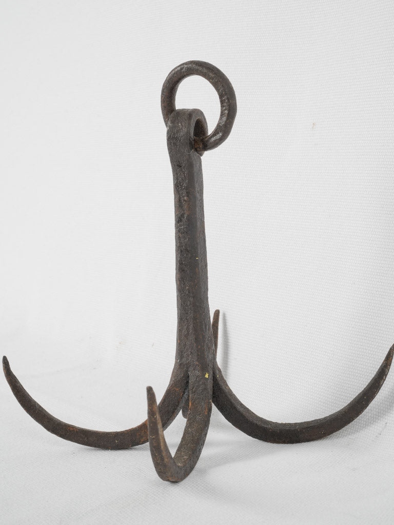 Aged 4-prong butcher's storage hook