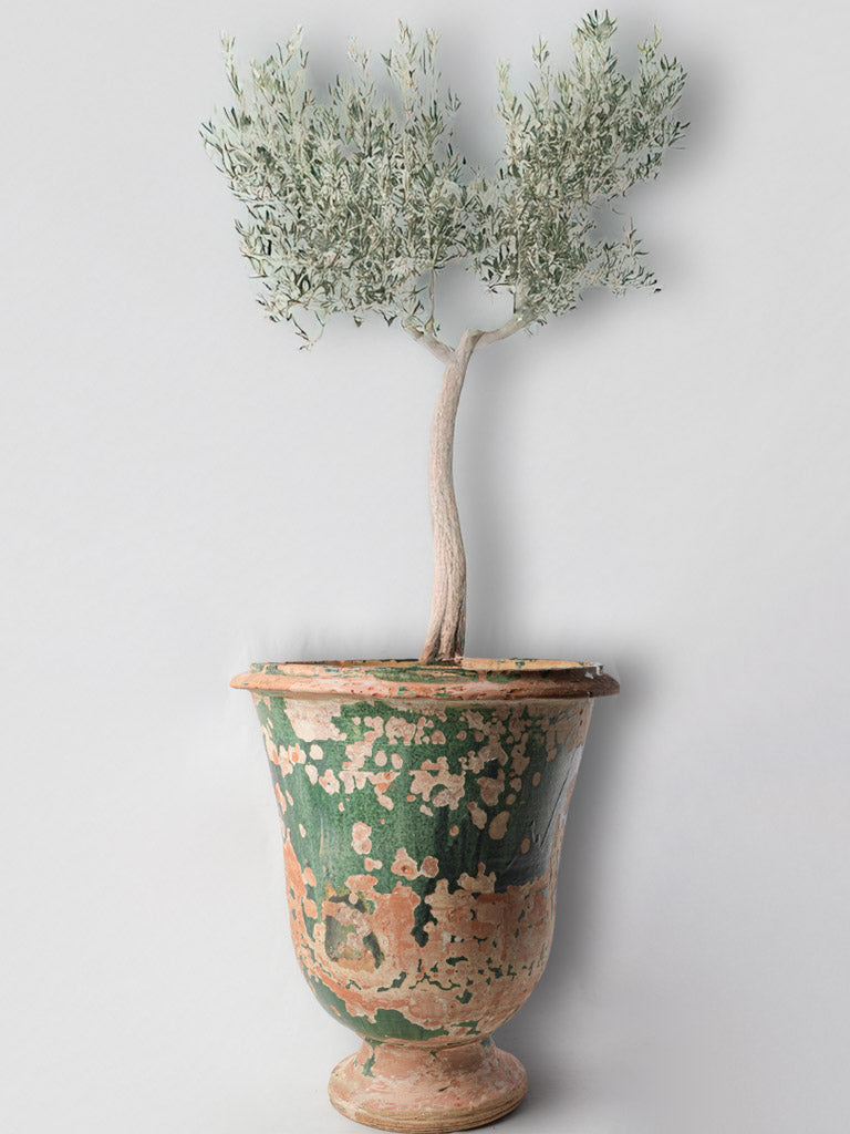 Exceptional Early 19th-Century Anduze Terracotta Planter w/ Green Patina 24"