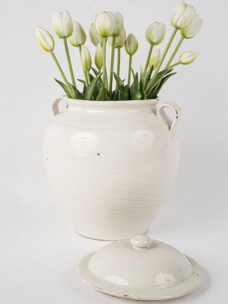 Elegant antique preserving container