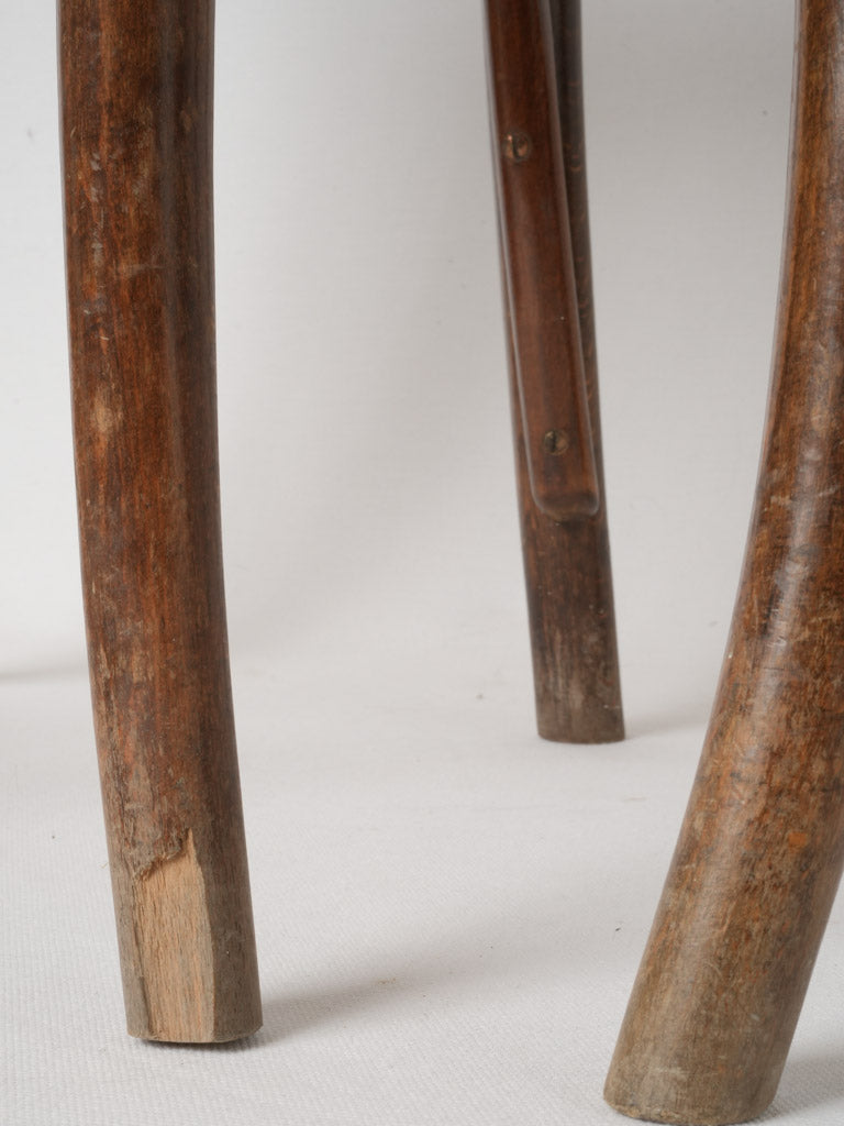Elegant, functional Thonet design pieces