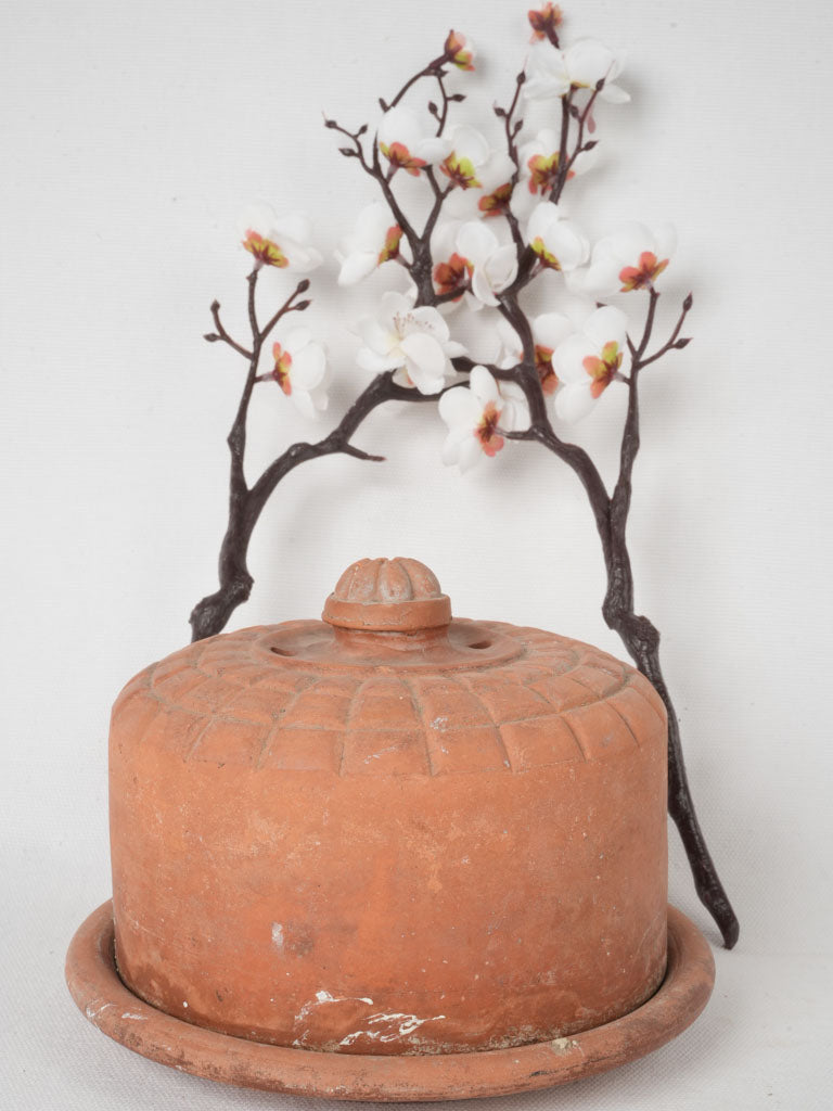 Antique Provençal terracotta butter bell dish