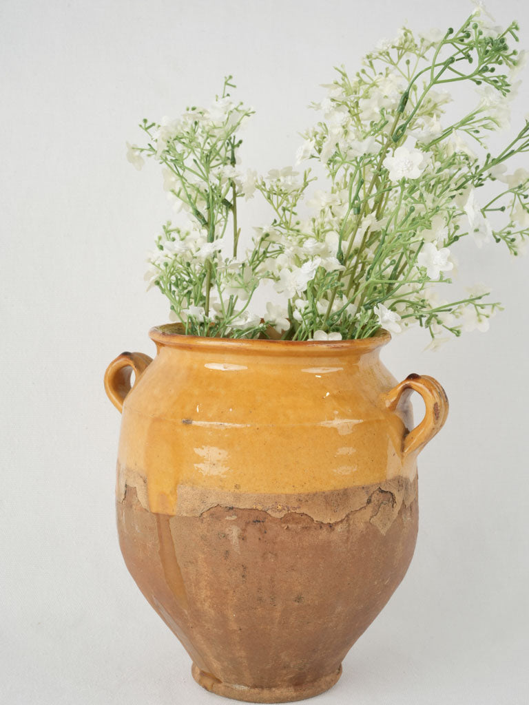 Charming antique ocher glazed confit pot