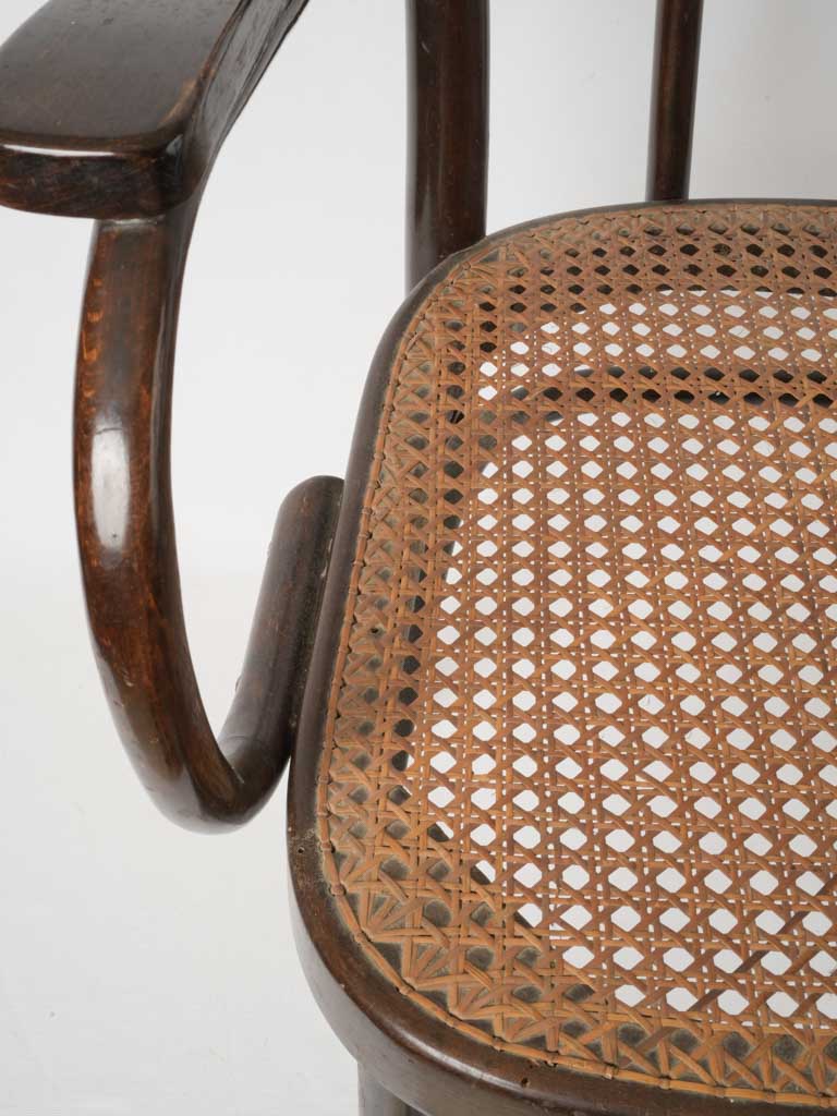 Elegant Thonet bentwood armchairs