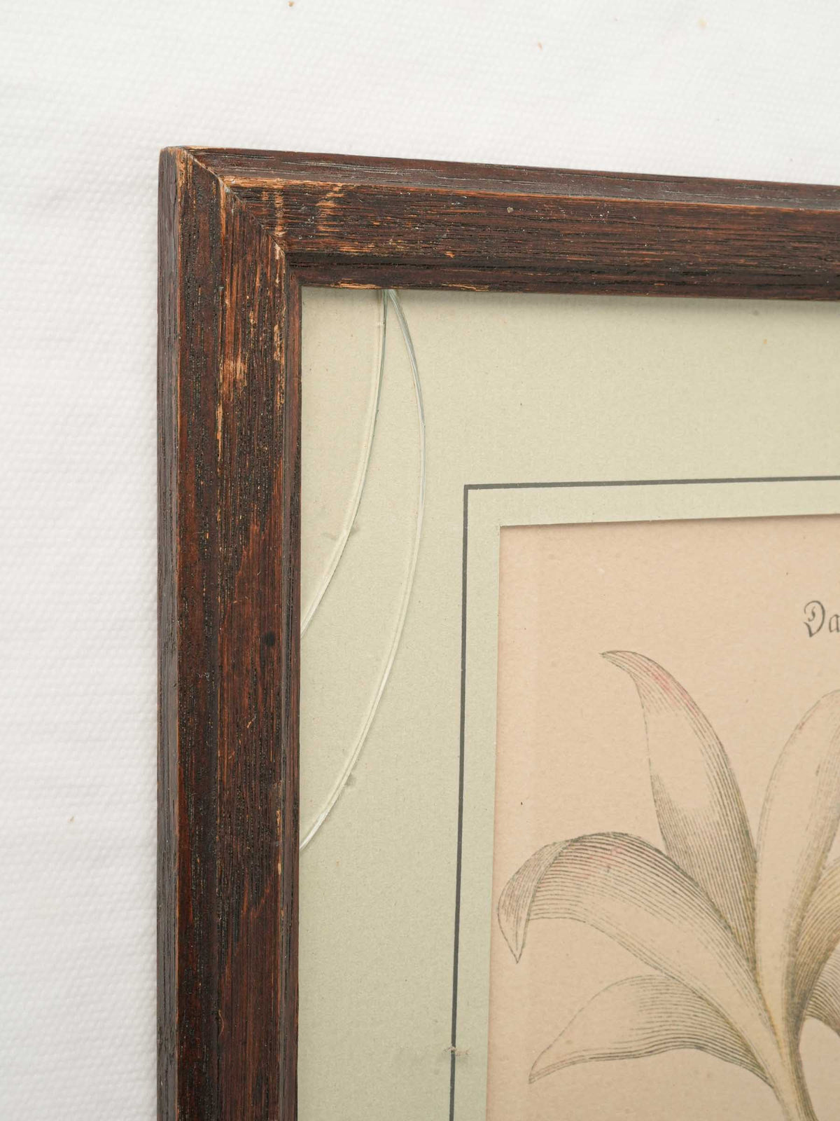 Set of Three Ornithological Prints after Mark Catesby - 22" x 16¼"