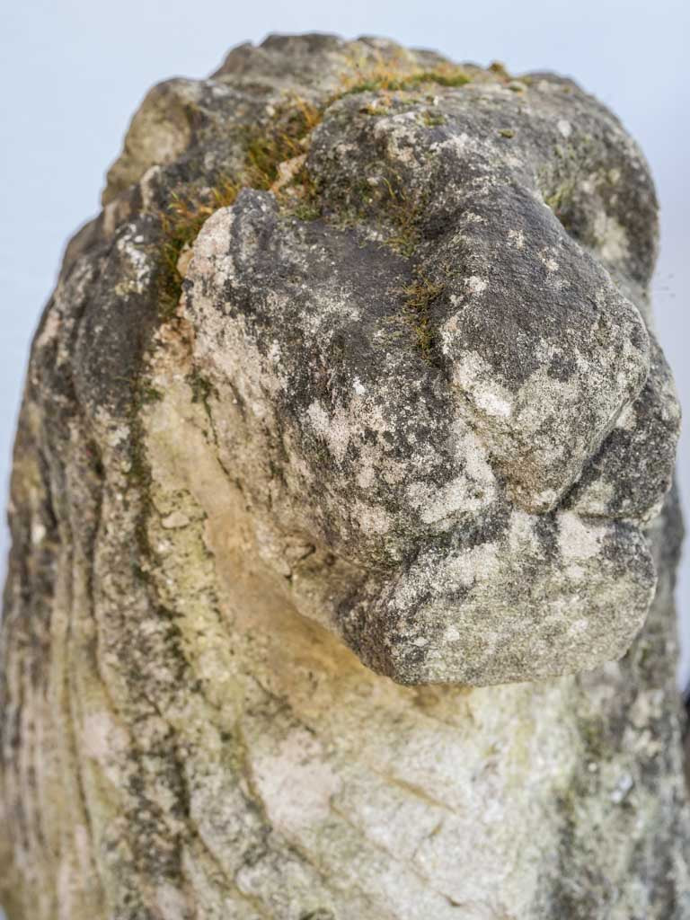 Historic Château architectural lions