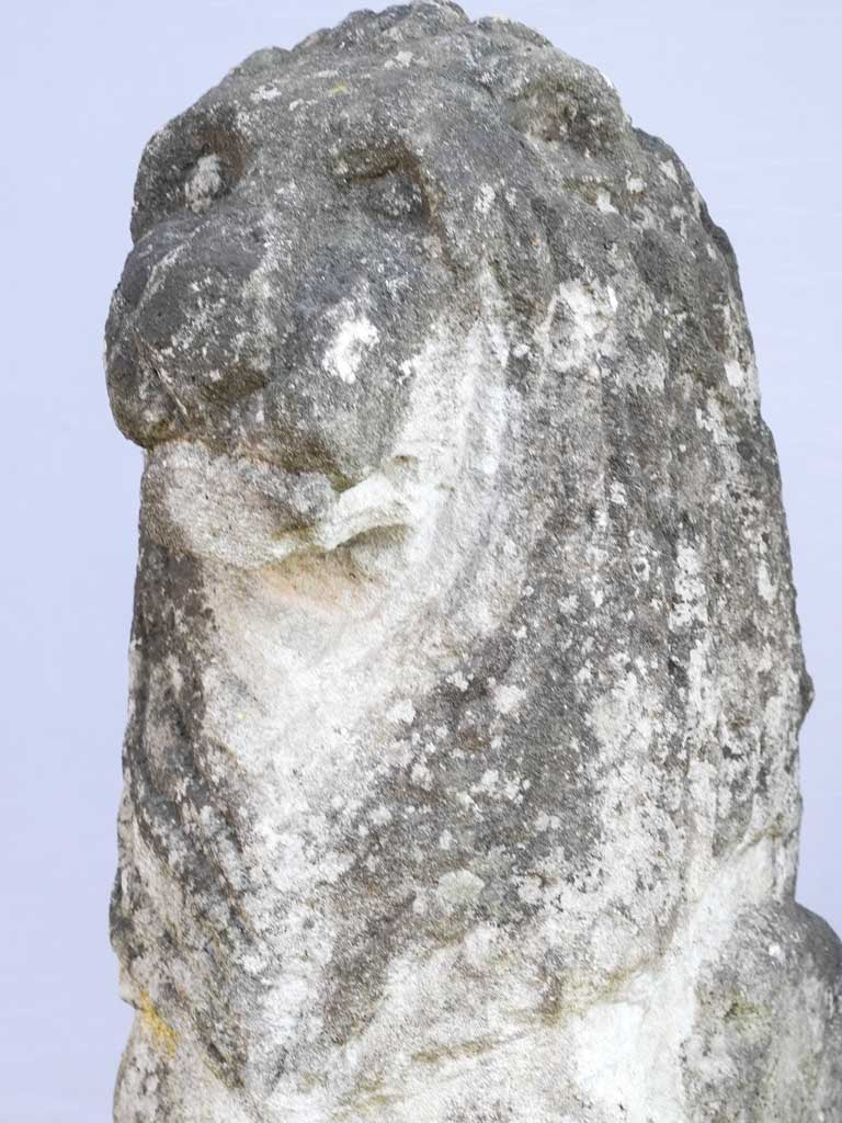 Majestic European stone lions
