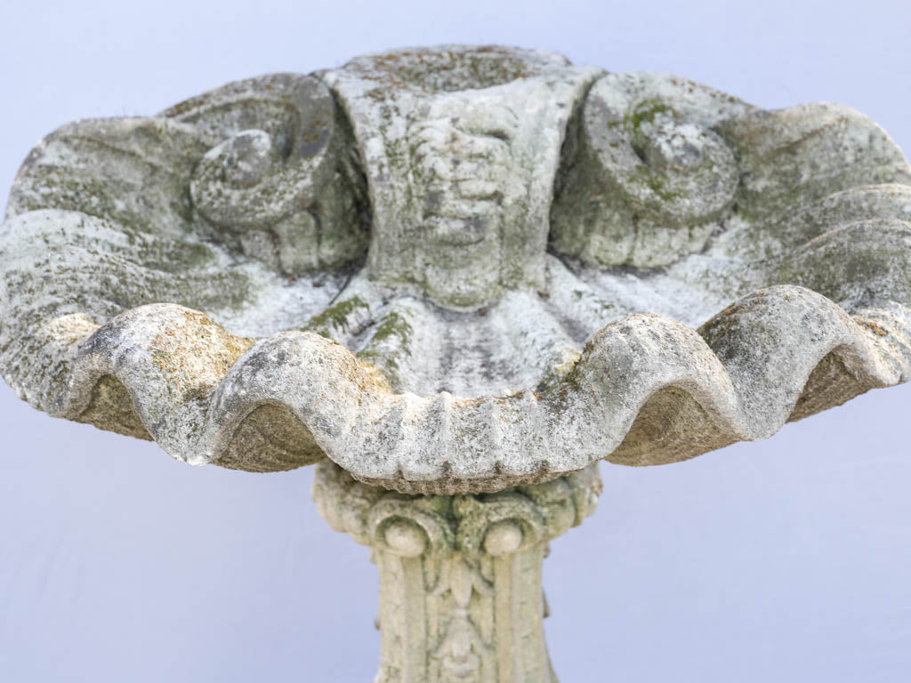 Ornate shell-shaped stone birdbath