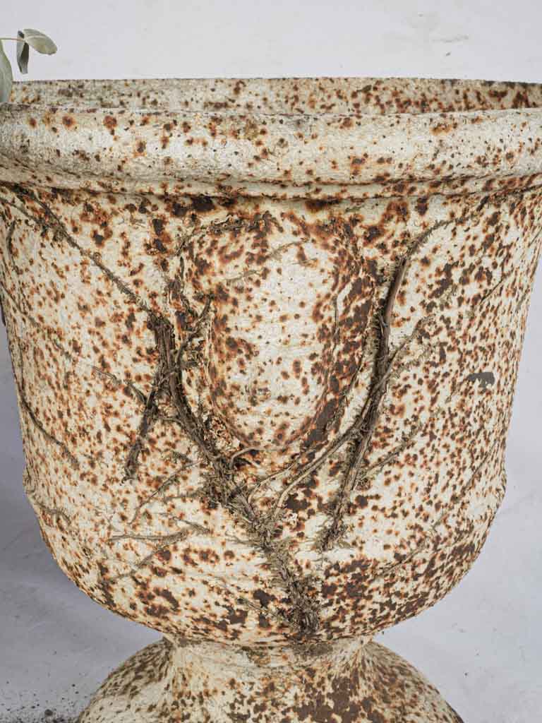 Graceful sculptural antique urns
