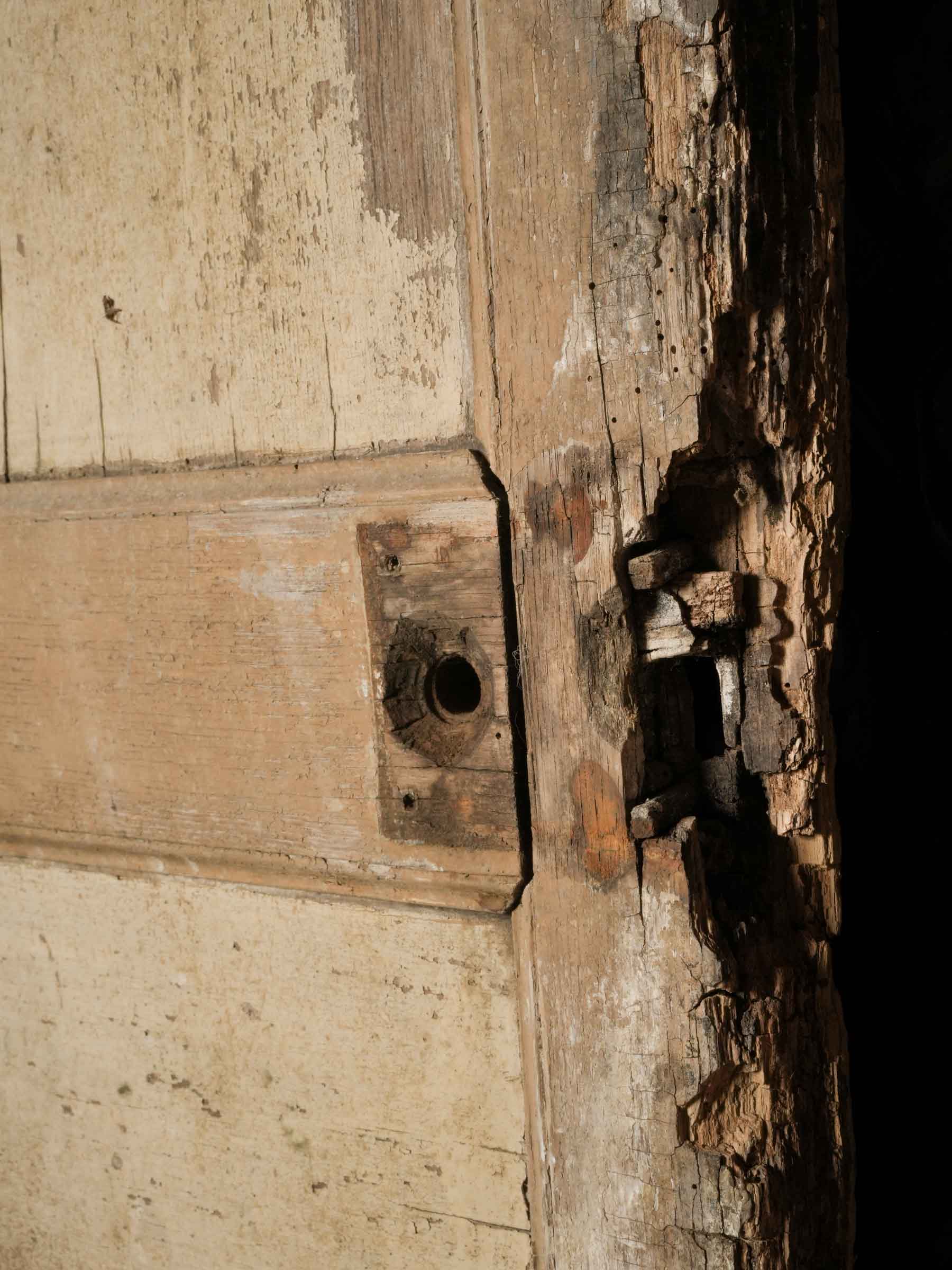 Rare French Compagnonnage Temple Door w/ Carpenter and Joiner Emblems, 19th Century - 80¾" x 40¼"