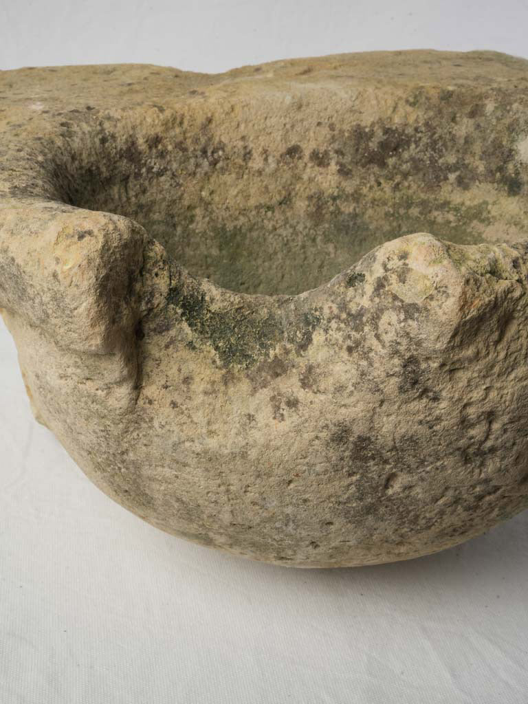 Rustic organic mineral bloom stoup