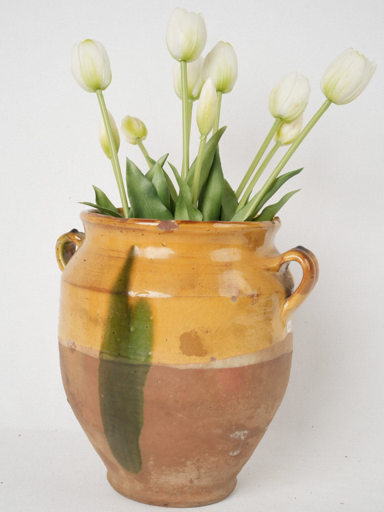 Vintage ocher French confit pot