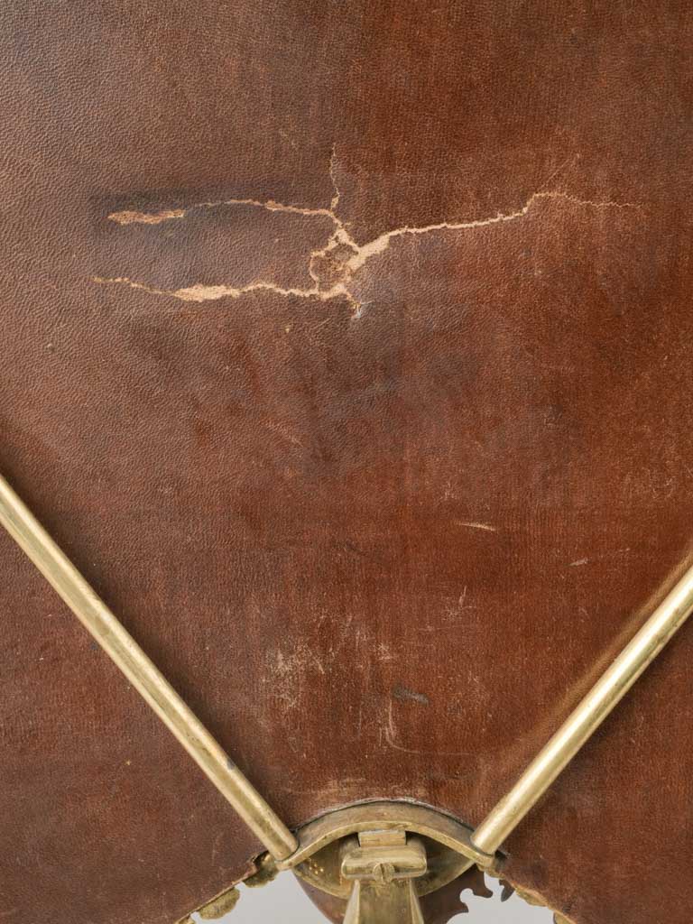 Refined ornate acanthus leaf frame