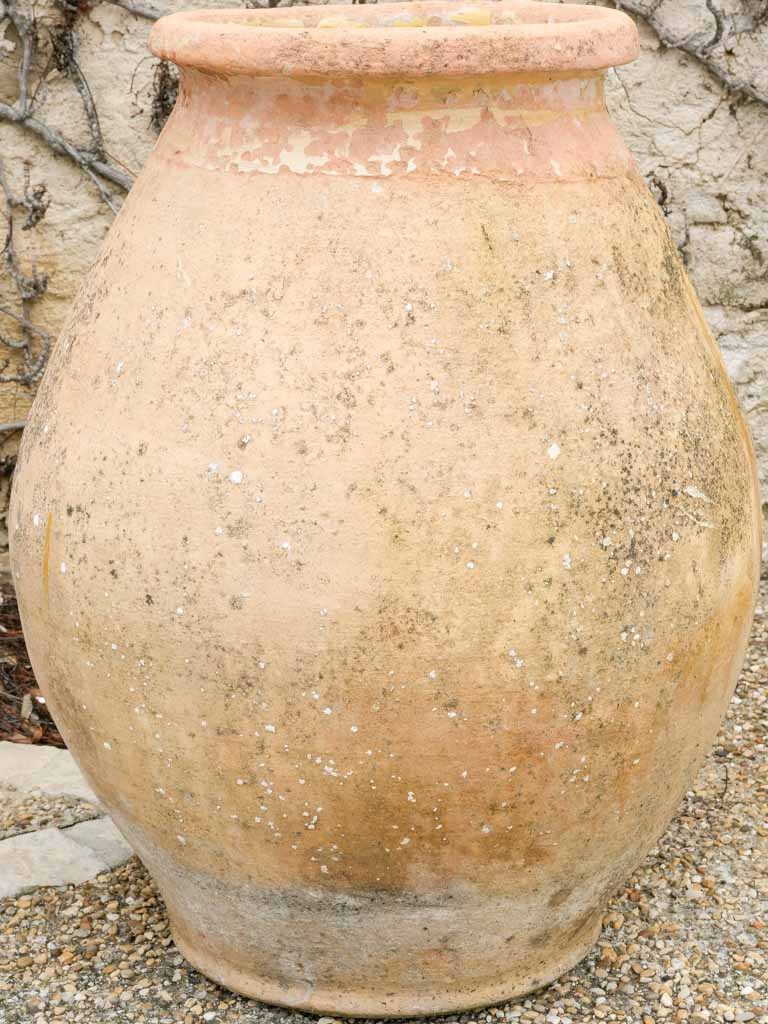 Rustic pale yellow olive storage pot