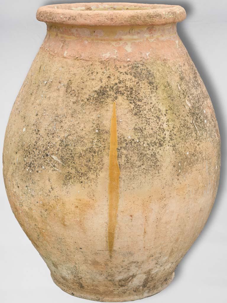 Charming French terracotta olive jar