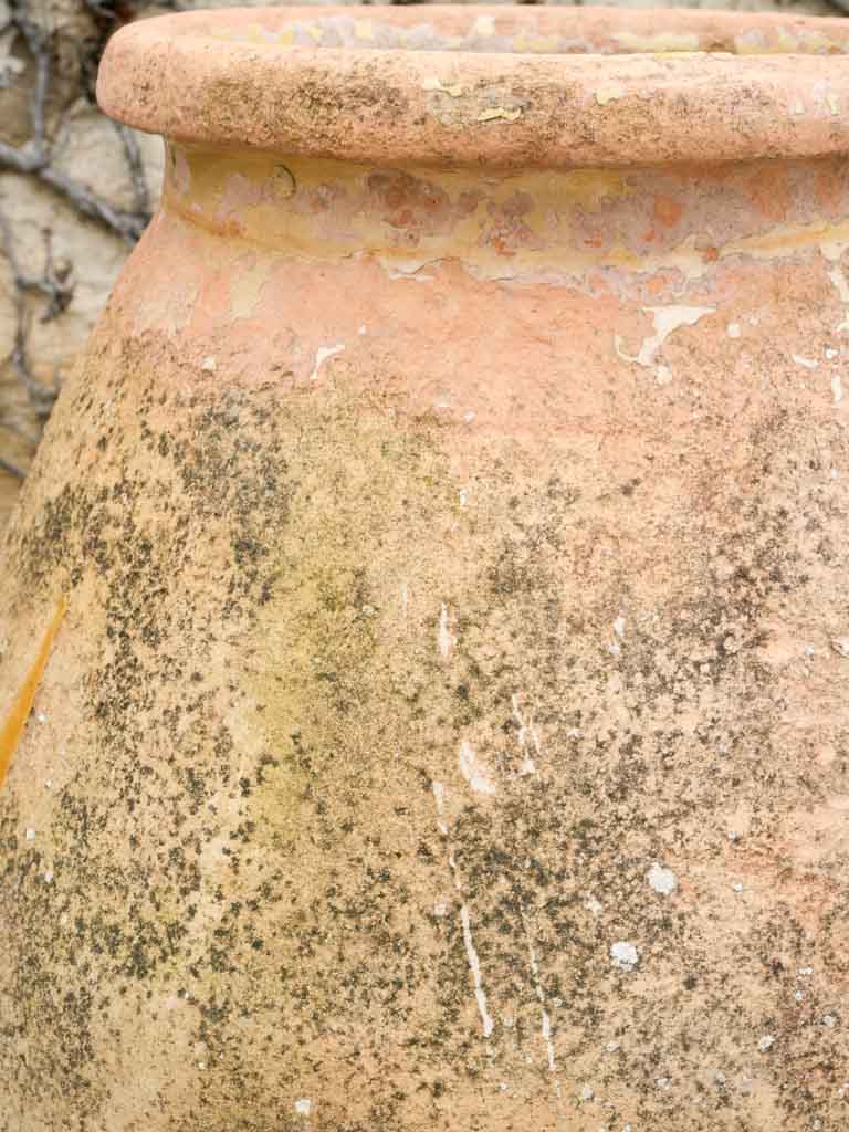 Aged French terracotta garden jar
