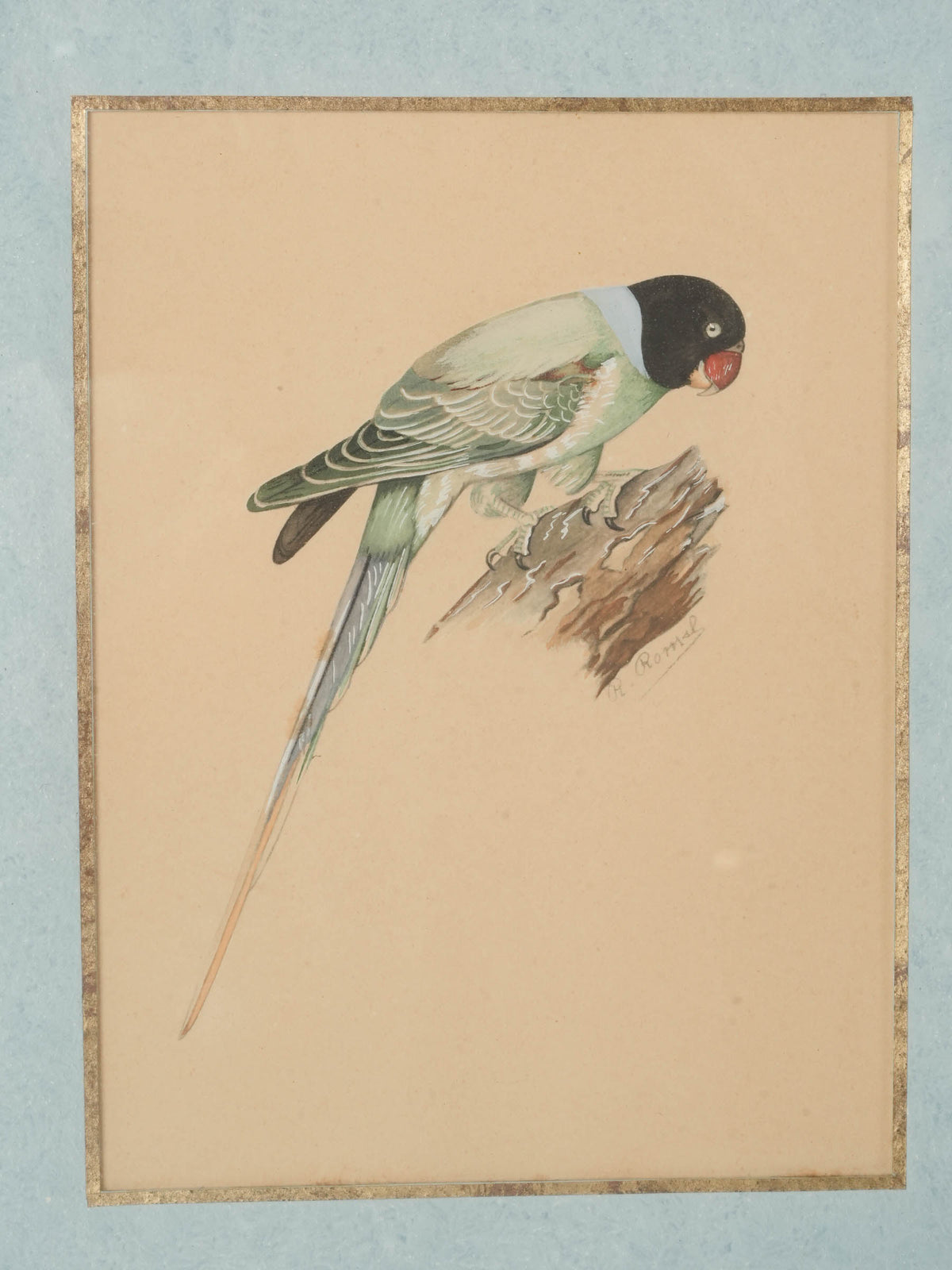 Small Signed Gouache of a Parakeet in a Mirrored Frame, c.1930s-1950s - 11¾" x 9¾"