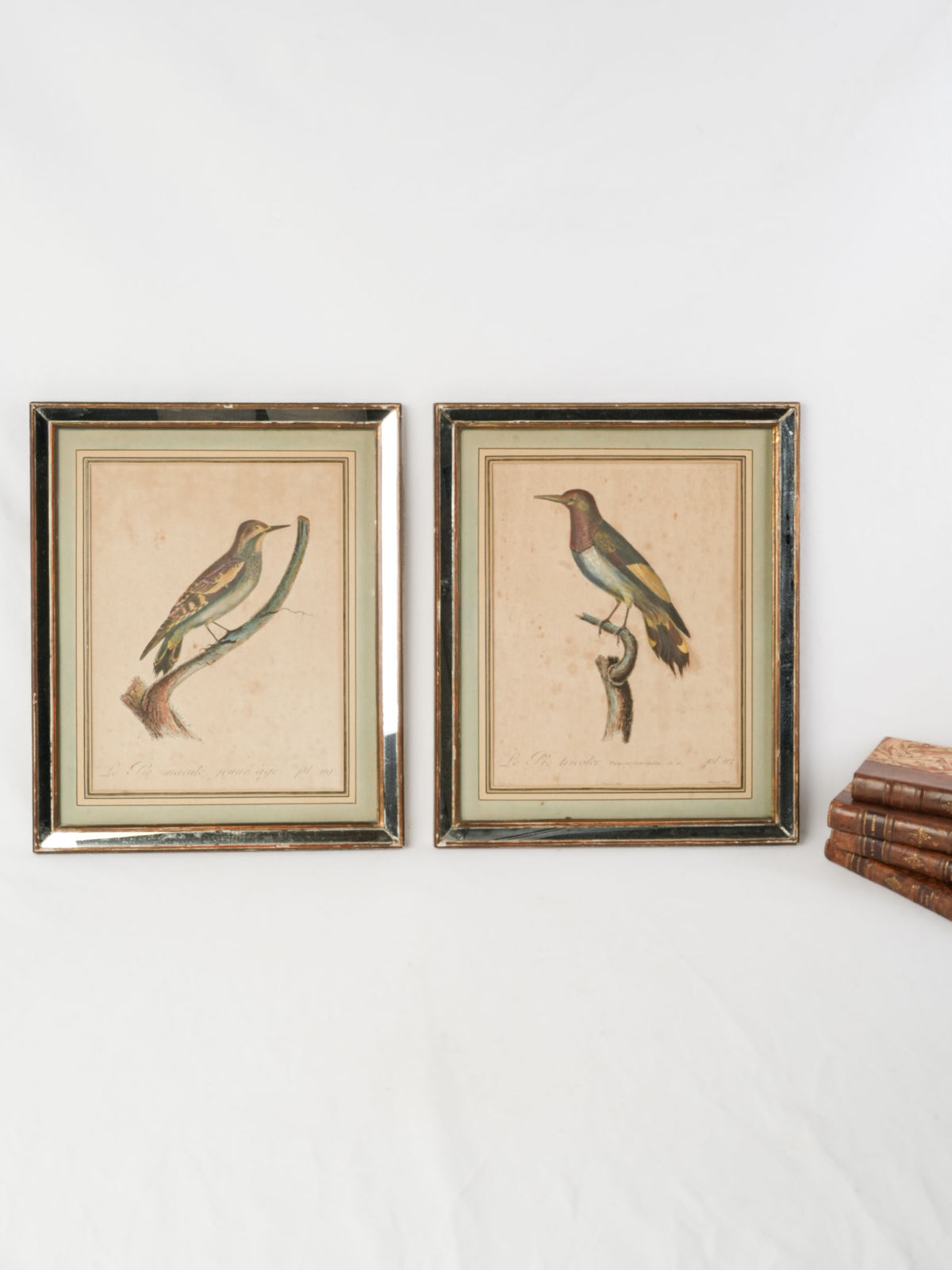 Pair of Antique French Hand-Colored Woodpecker Engravings in Mirrored Frames - 16¼" x 13½"
