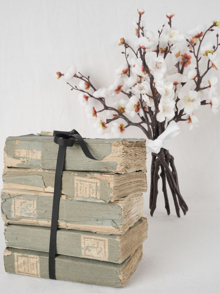 Historical charming blue-gray volumes