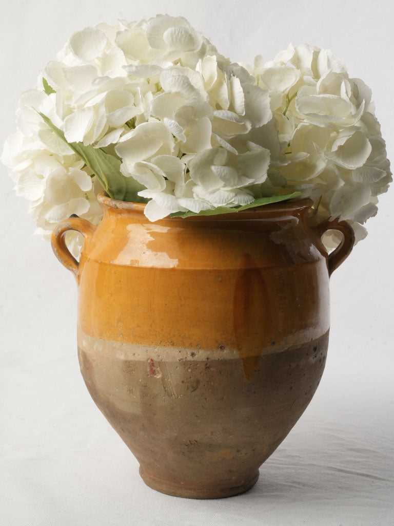 Rustic terracotta confit jar