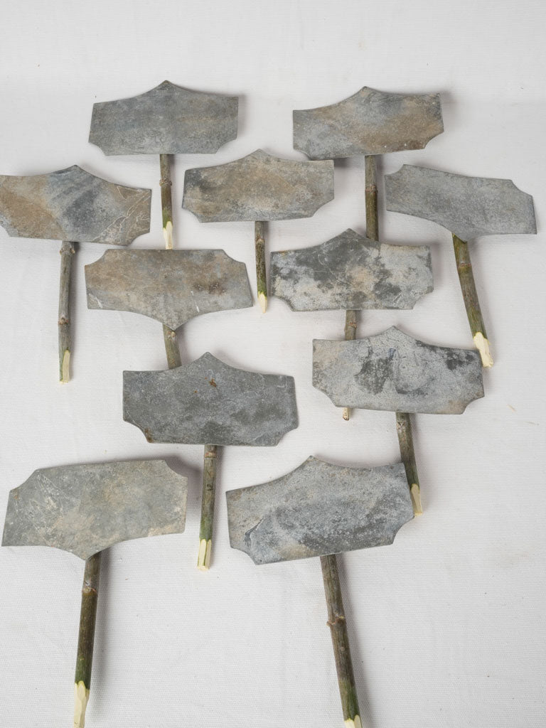 Rustic wooden-spiked herb markers