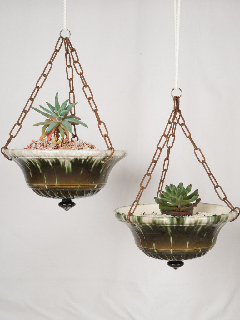 jellyfish air plants Jellyfish Hand Blown Art Glass Air Plant Holder With Assorted Air Plan   Valley View Ridge