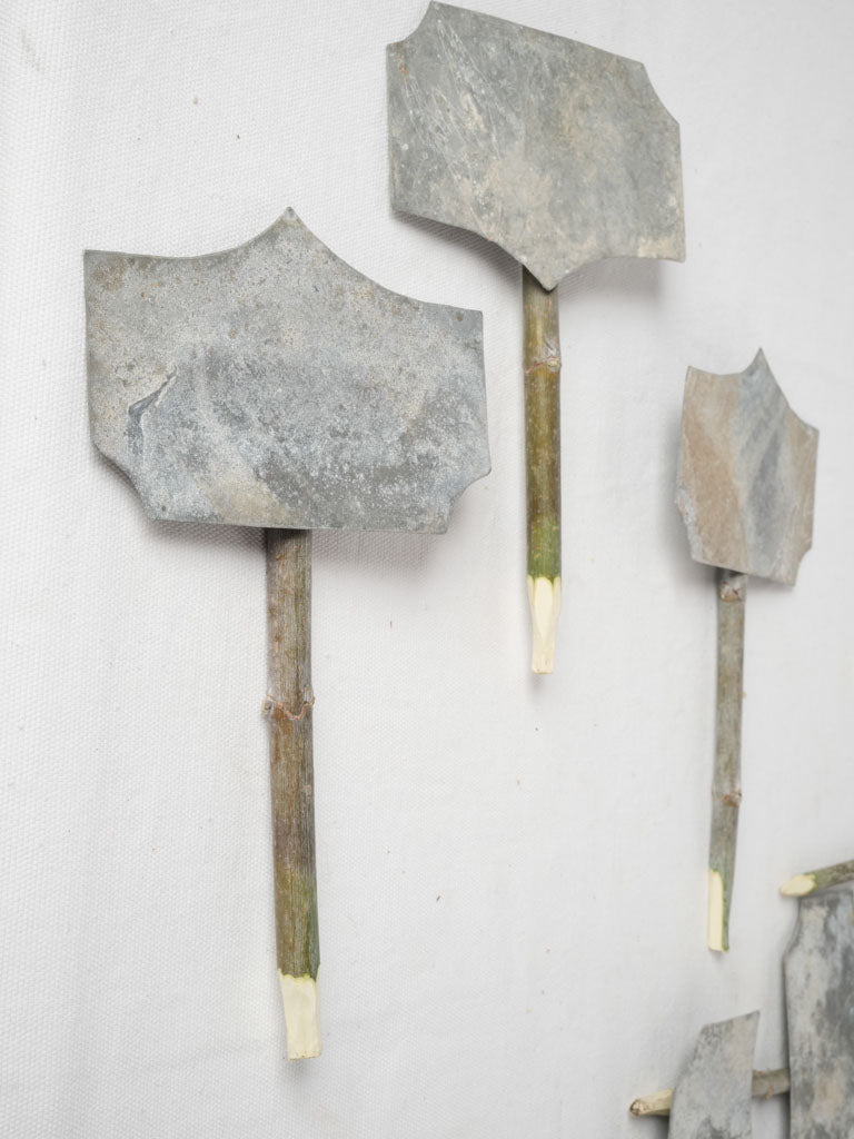Green-thumbed friend's zinc garden charm