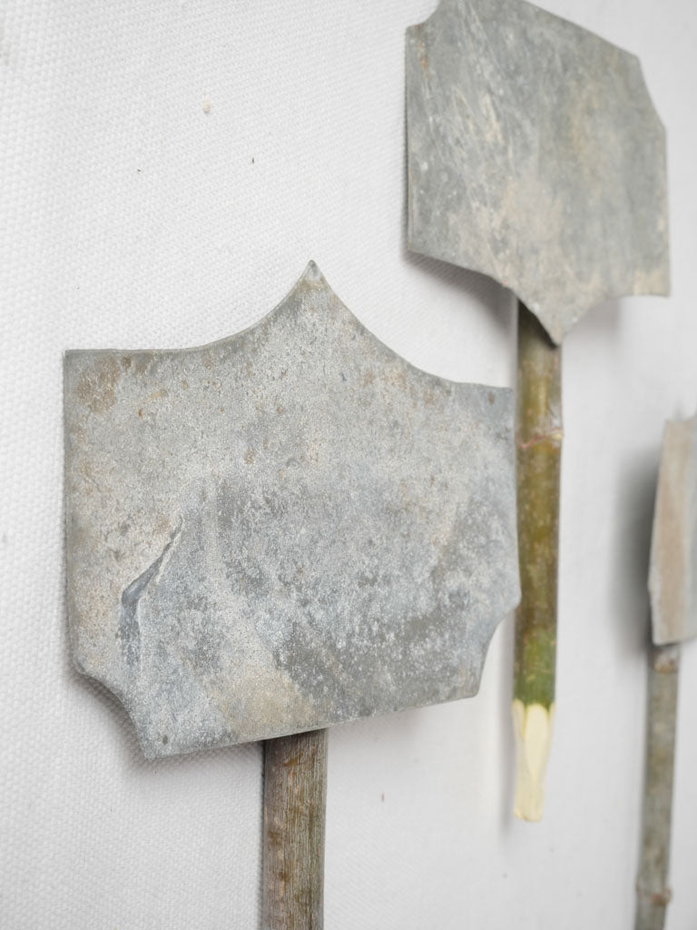 Provenance-inspired botanical zinc markers