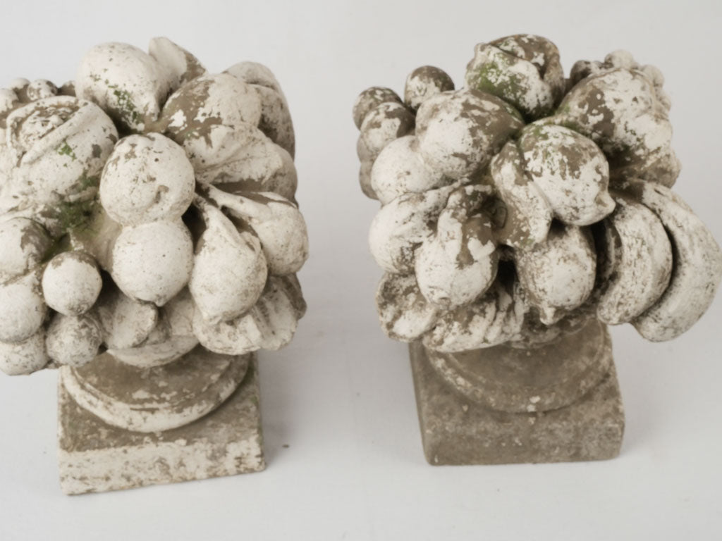 Aged garden wall fruit adorns
