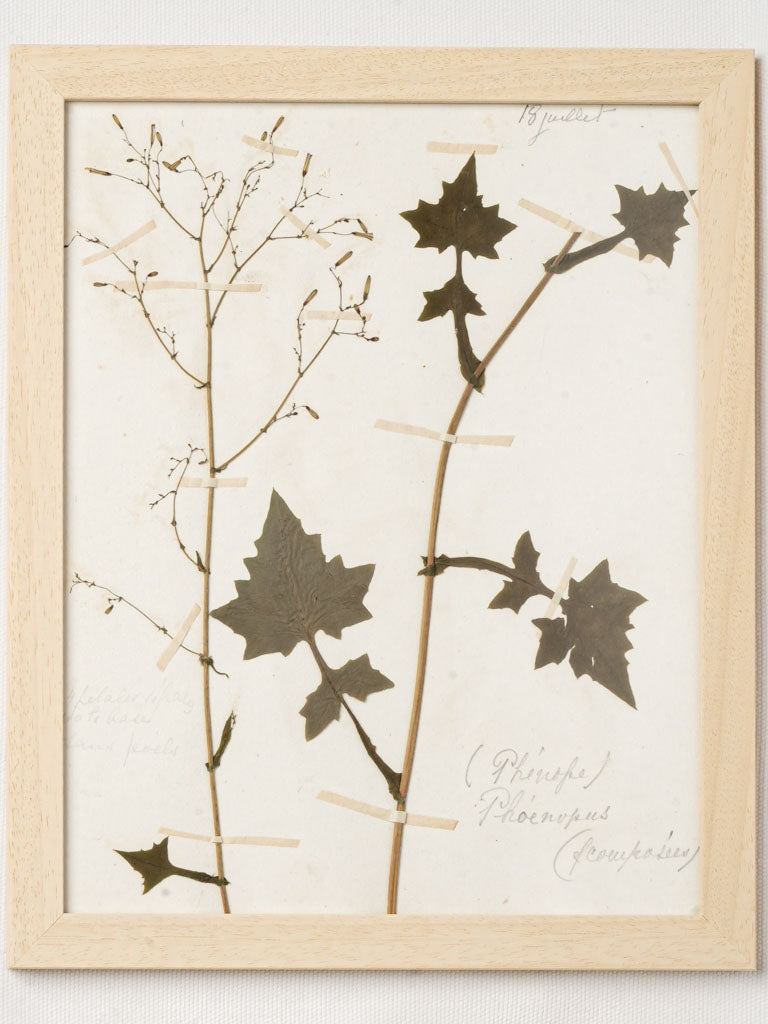 Rustic natural wood framed set