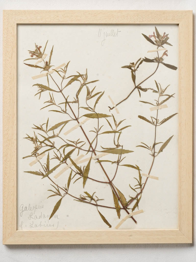 Sentimental nature-inspired wall art