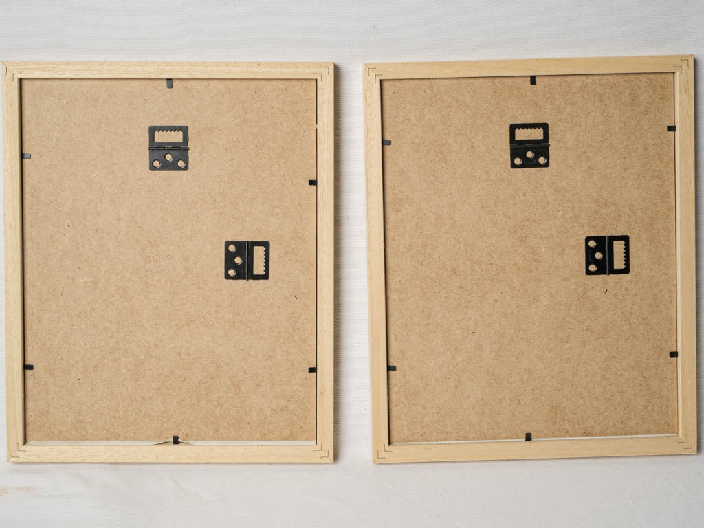 Aged patina botanical specimen set