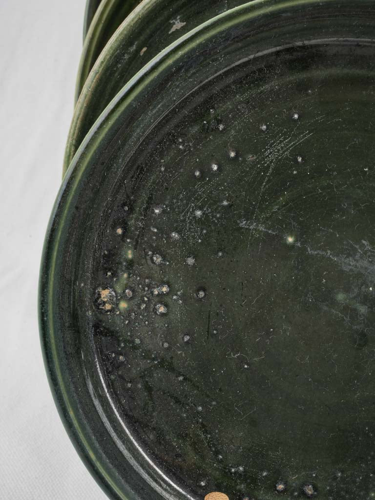 Vibrant green hues ceramic plates