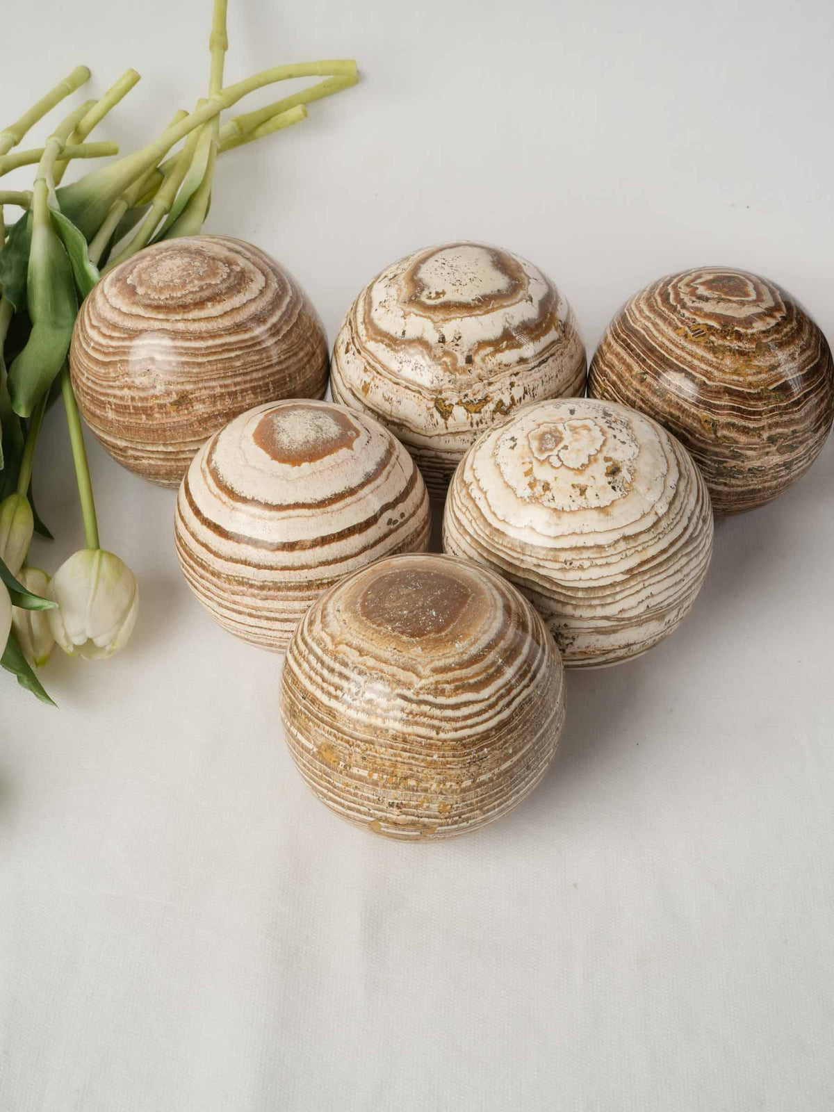 Set of Six Decorative Aragonite Spheres with Striking Natural Banding
